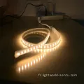 5050 60led / m 110V LED haute tension Flexible Strip Flexible